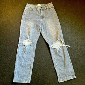 Universal Thread Vintage Straight Distressed Jeans Women